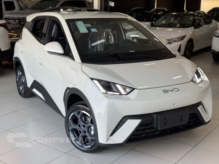 Dolphin Mini 38 KW ELÉTRICO GS