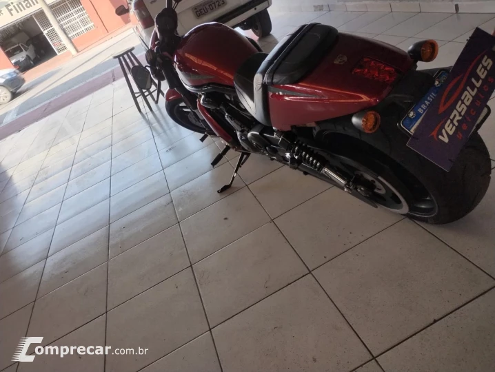 Night Rod Special 1250