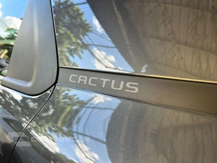 C4 CACTUS FEEL 1.6 16V Flex Aut.