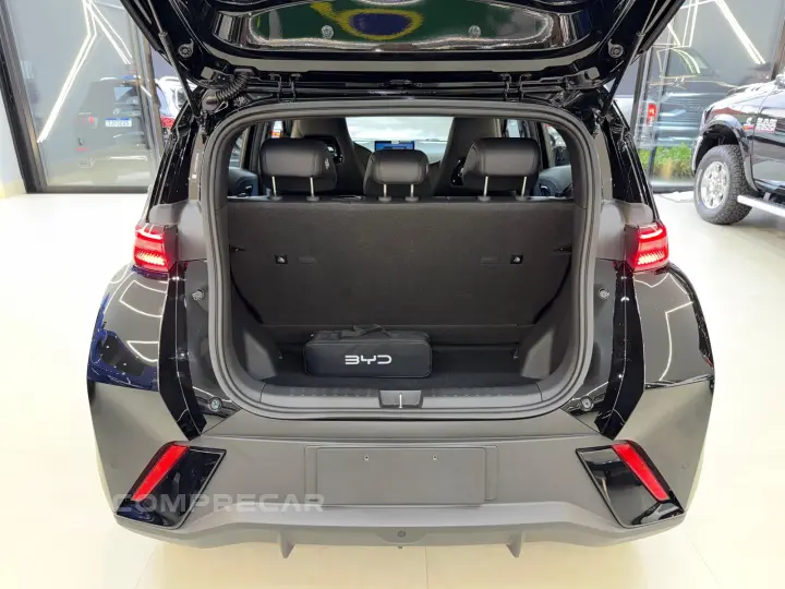 DOLPHIN MINI