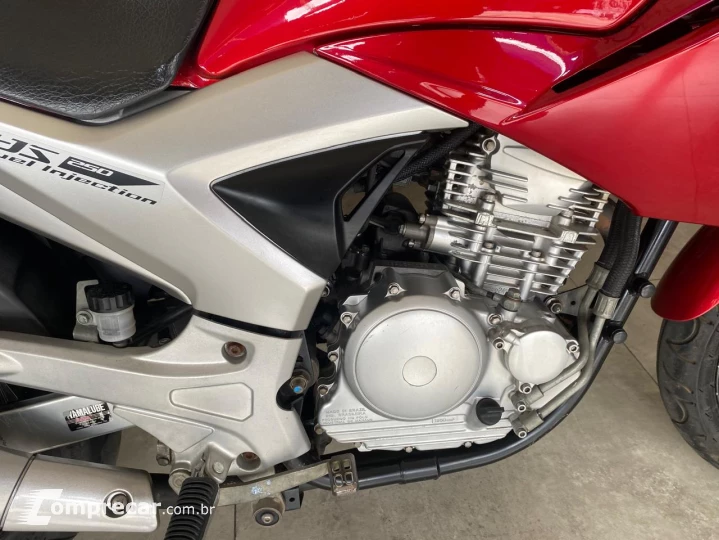 YS 250 FAZER
