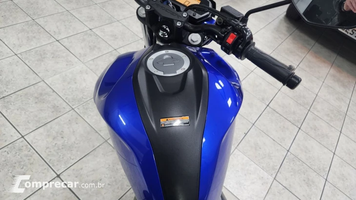 FZ25 250 FAZER FLEX