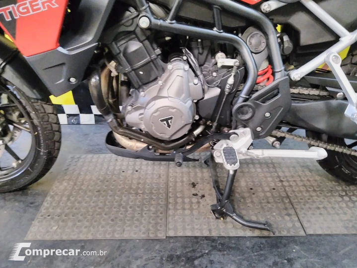 Tiger 900 gt pro