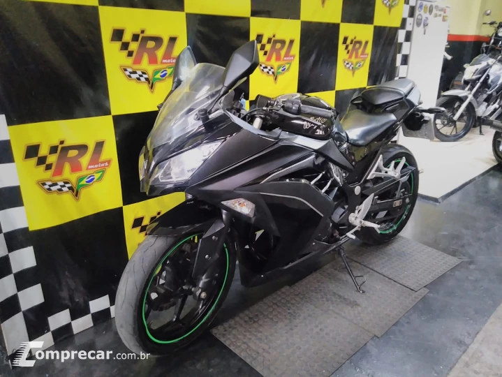 Ninja 300