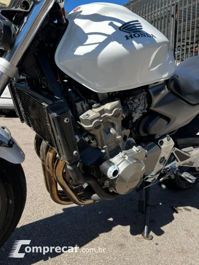 hornet 600