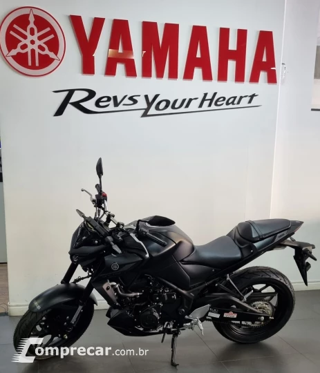 MT-03 Abs