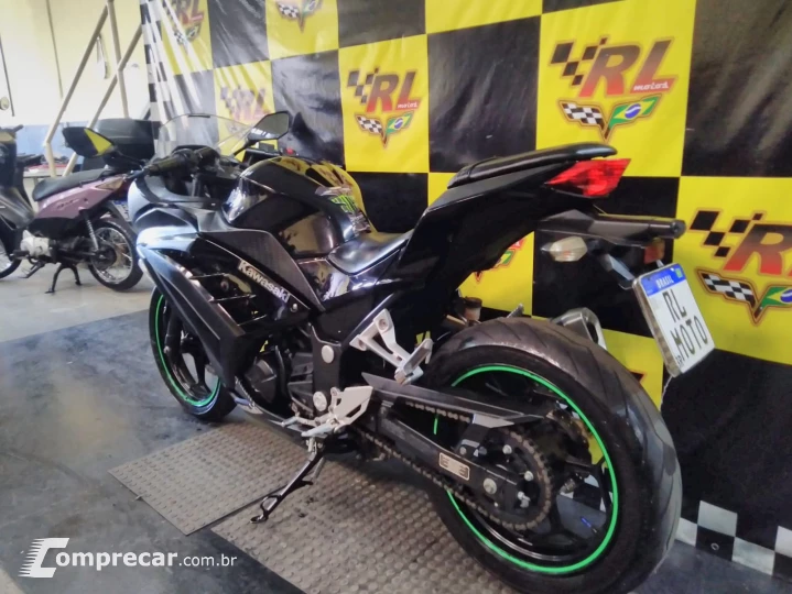 Ninja 300