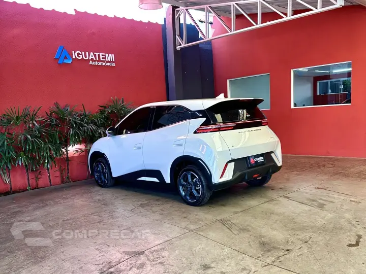 DOLPHIN MINI GS EV