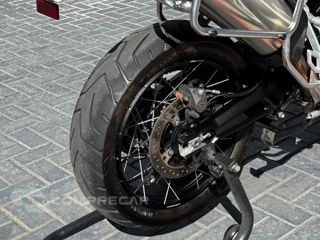 TIGER 900 RALLY PRO - Trail