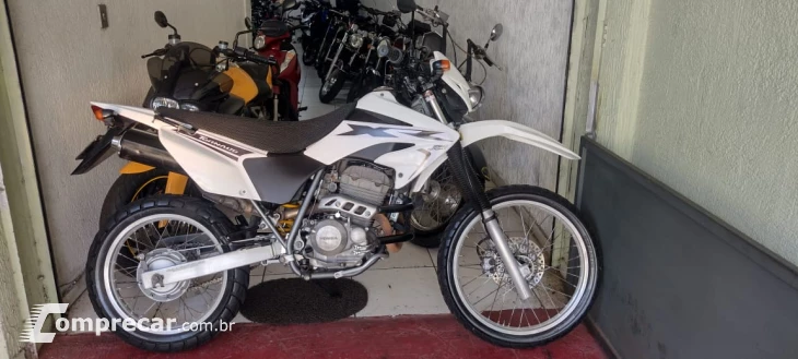 XR 250 tornado