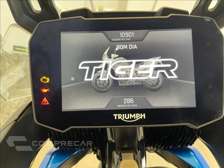TIGER 900 GT PRO