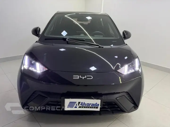 DOLPHIN MINI GS5EV
