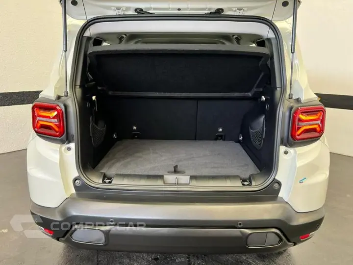 RENEGADE LGTD T270