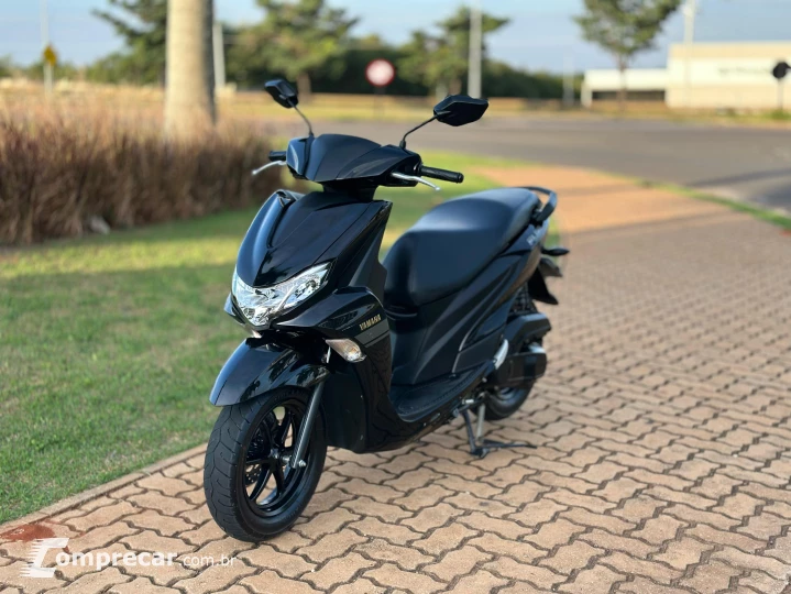 FLUO 125