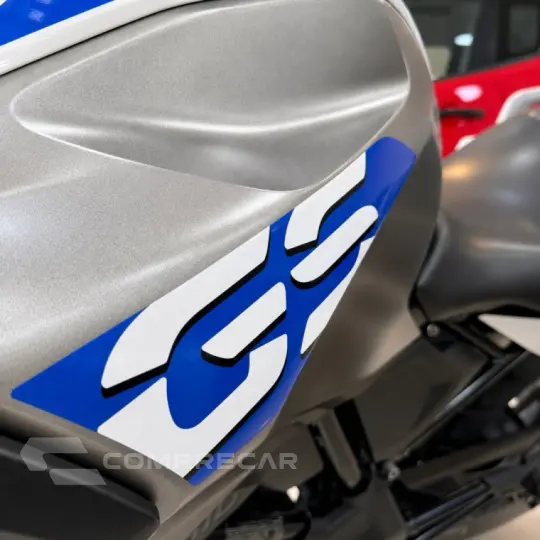 G 310 GS