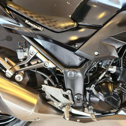 Z 300