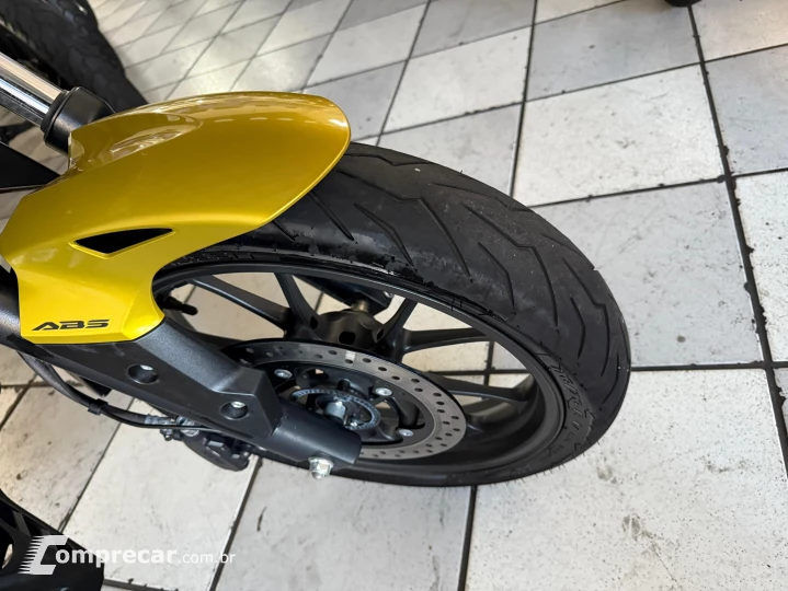 CB 300F TWISTER