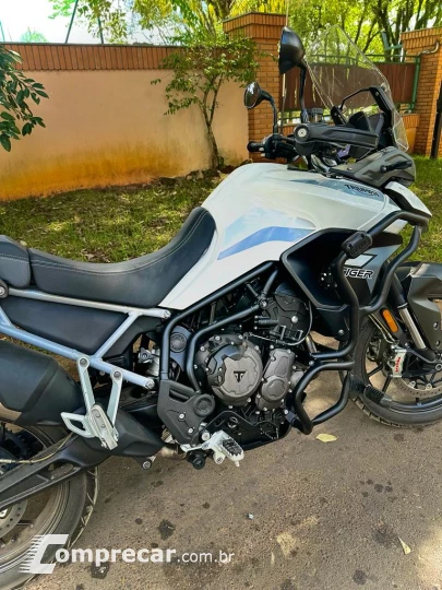 Tiger 900 GT