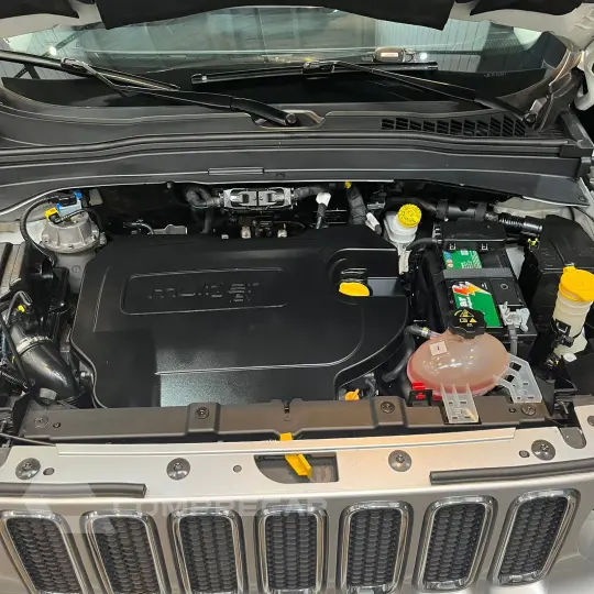 RENEGADE 2.0 16V Turbo Limited 4X4