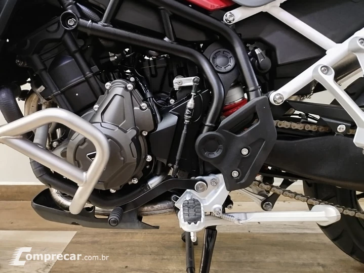 Tiger 900 GT ARAGÓN