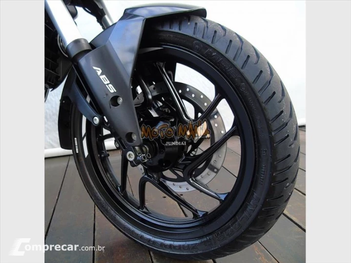 DOMINAR 250