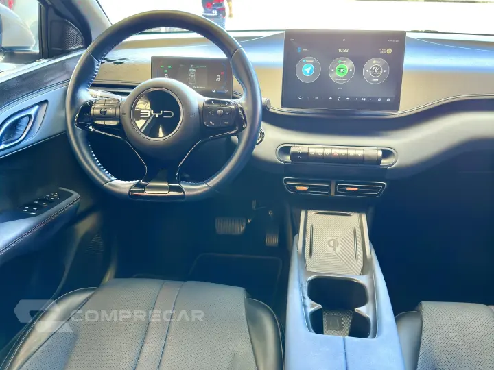 DOLPHIN MINI GS EV