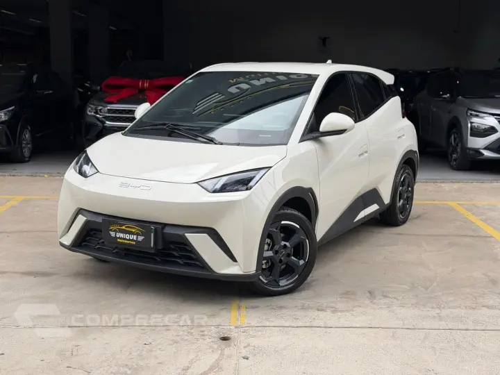 Dolphin Mini 38 Kw Elétrico