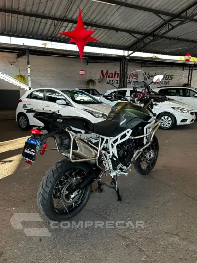 TIGER 900 RALLY PRO