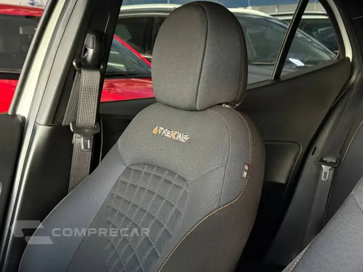 ARGO TREKKING 1.3 8V Flex