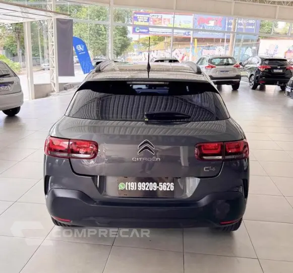 C4CACTUS FEEL BU