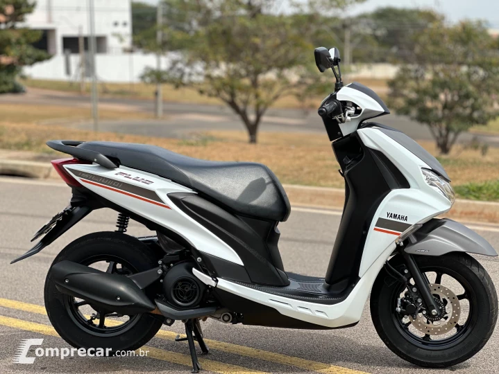 FLUO 125