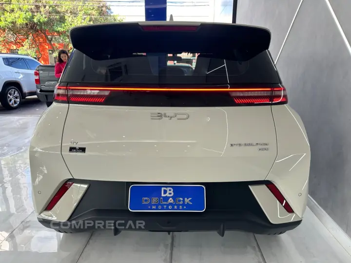 Dolphin Mini (Elétrico)