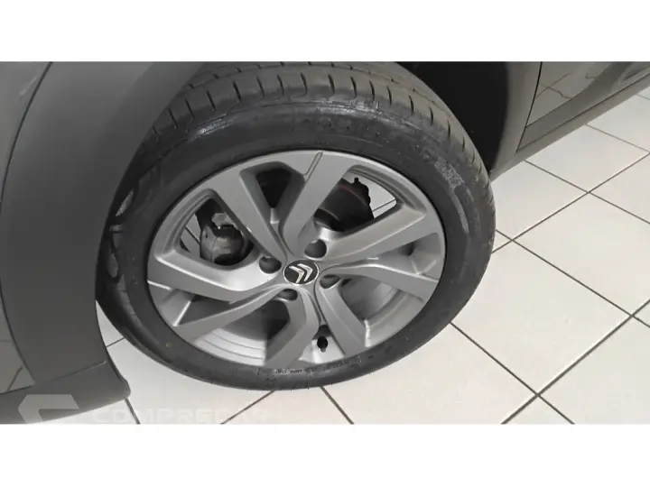 C4 CACTUS 1.6 VTI 120 FLEX FEEL EAT6