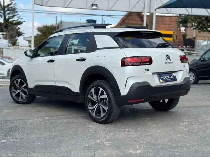 C4 CACTUS C4 Cactus 1.6 THP Shine Pack