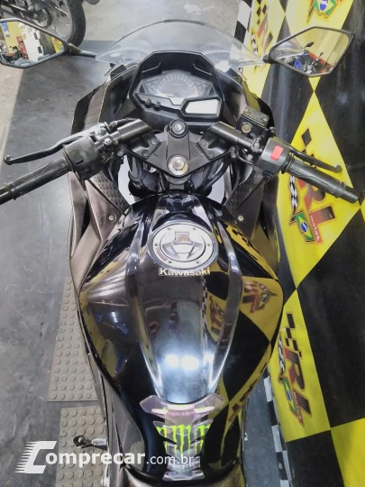 Ninja 300