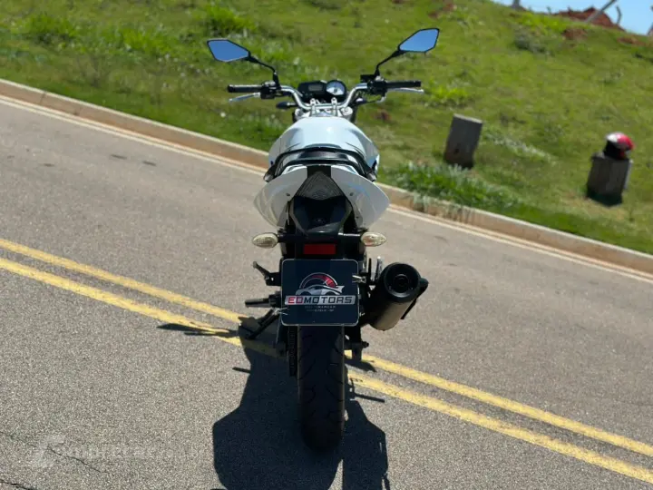 YS 250 FAZER BLUEFLEX