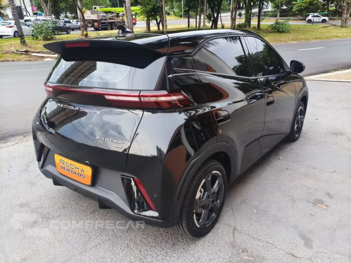 Dolphin Mini 38 KW ELÉTRICO