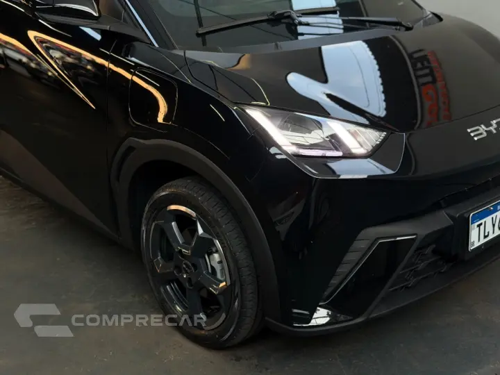 Dolphin Mini (Elétrico)