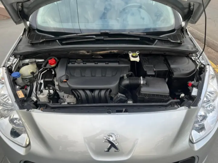 308 2.0 Feline 16V