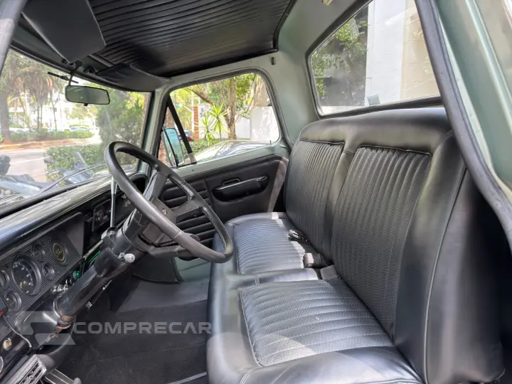 F 100 V8