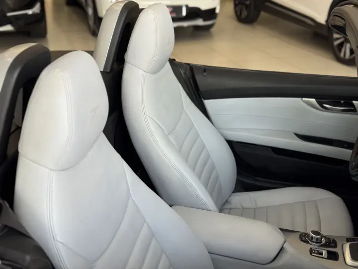 Z4 2.0 16V 20I SDRIVE GP ROADSTER AUTOMÁTICO