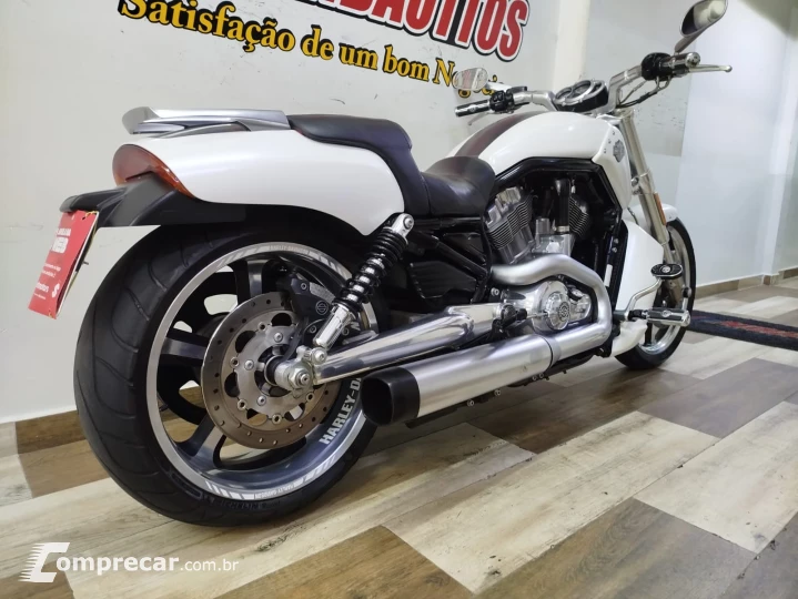 V Rod Custom 1250 cc
