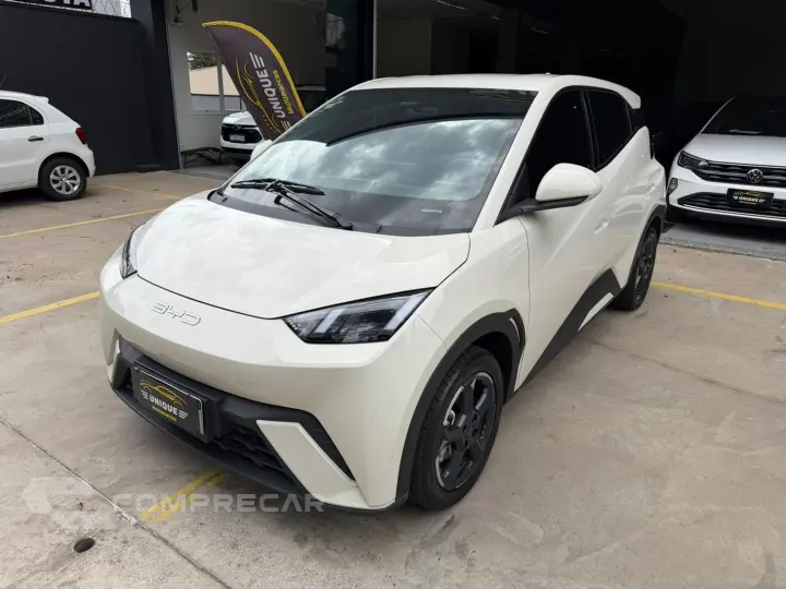 Dolphin Mini 38 Kw Elétrico