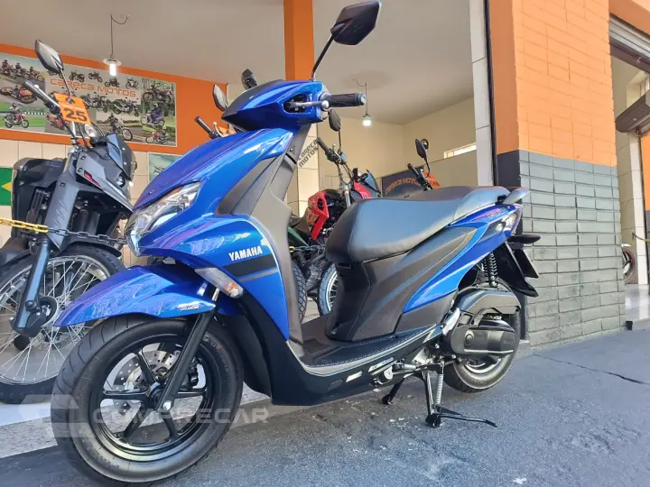 Fluo 125