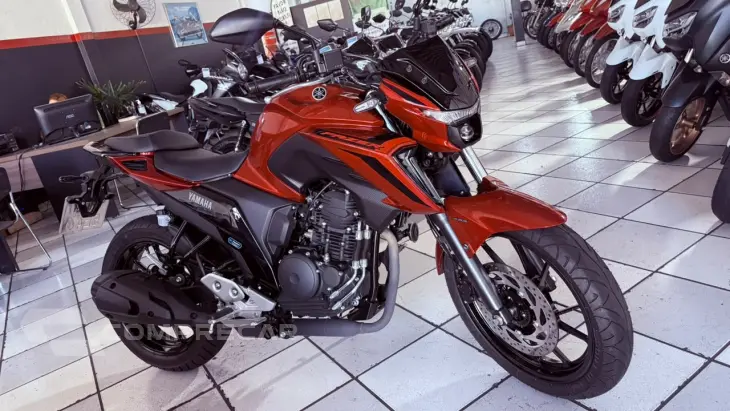 FZ25 CONNECTED