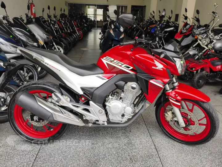 CB 250 TWISTER/FLEXONE