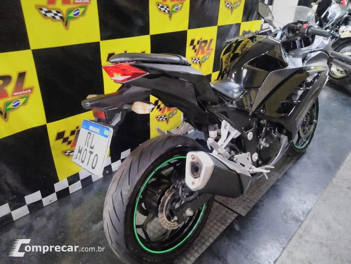 Ninja 300