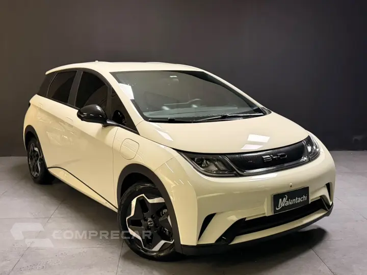 DOLPHIN 44,9 KW ELÉTRICO GS