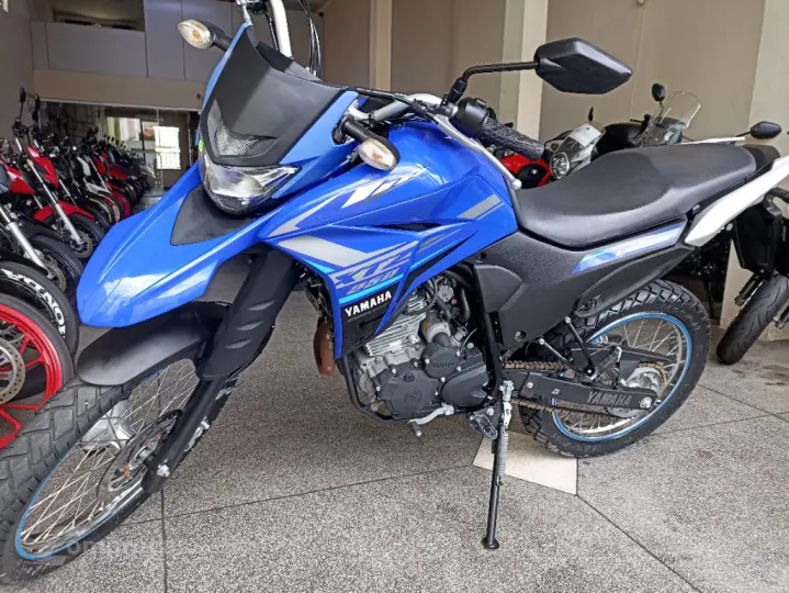 XTZ 250 LANDER 249cc/LANDER BLUEFLEX/ABS