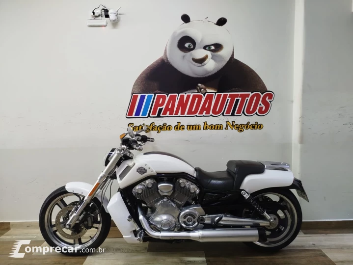 V Rod Custom 1250 cc